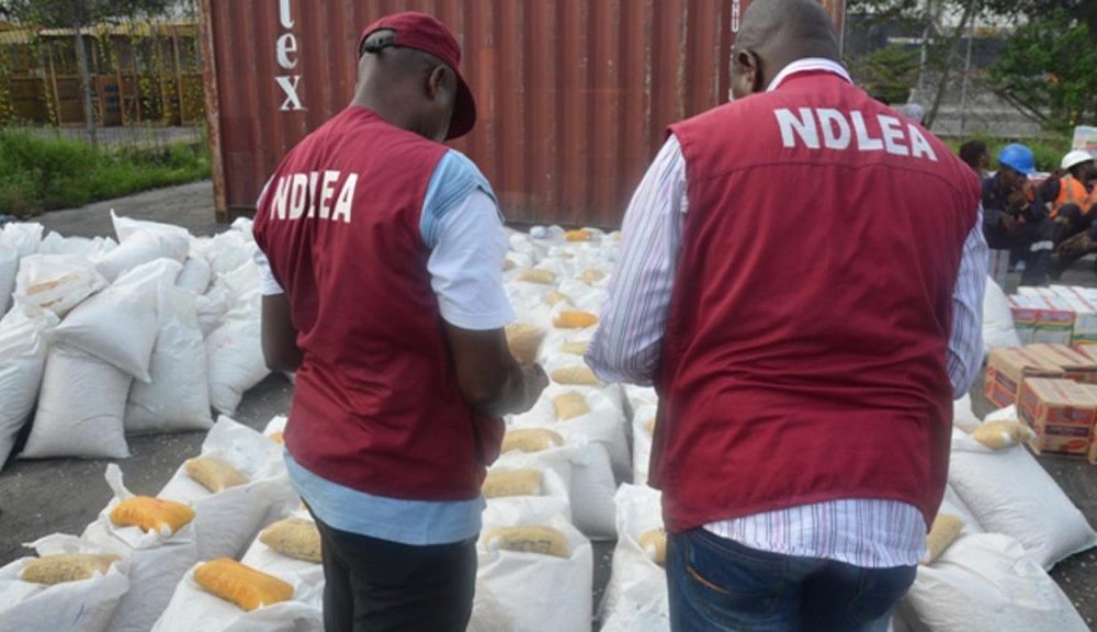 Nigerian Celebrities That Have Been Arrested By NDLEA Over Drug Related Crime