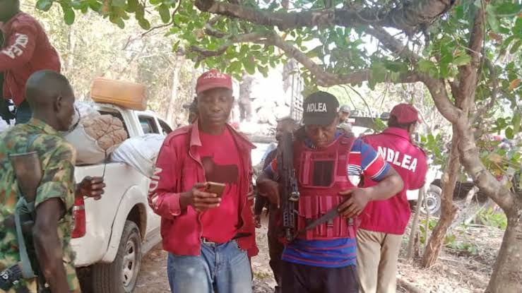 One Dead As NDLEA Operatives Clash With Thugs In Lagos