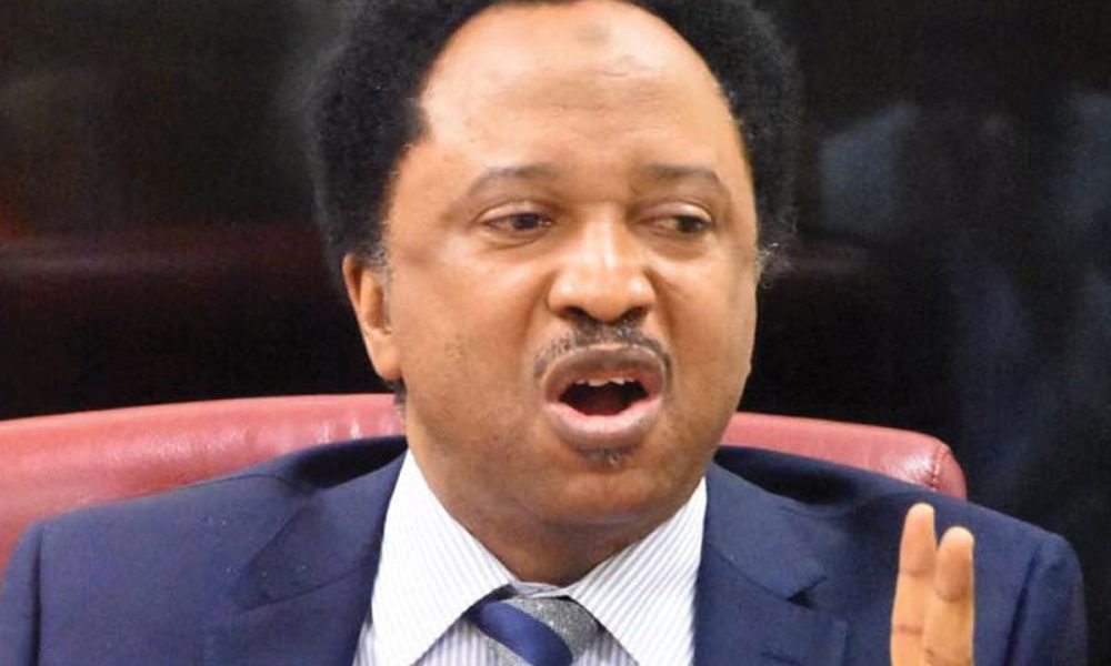 Russia: Shehu Sani Condemns Maltreatment Of Nigerians, Africans In Ukraine