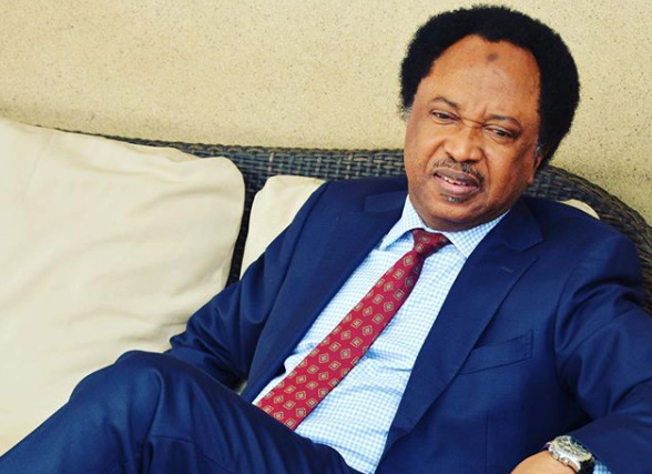 "Coup In The Ruling Party" - Shehu Sani Mocks APC